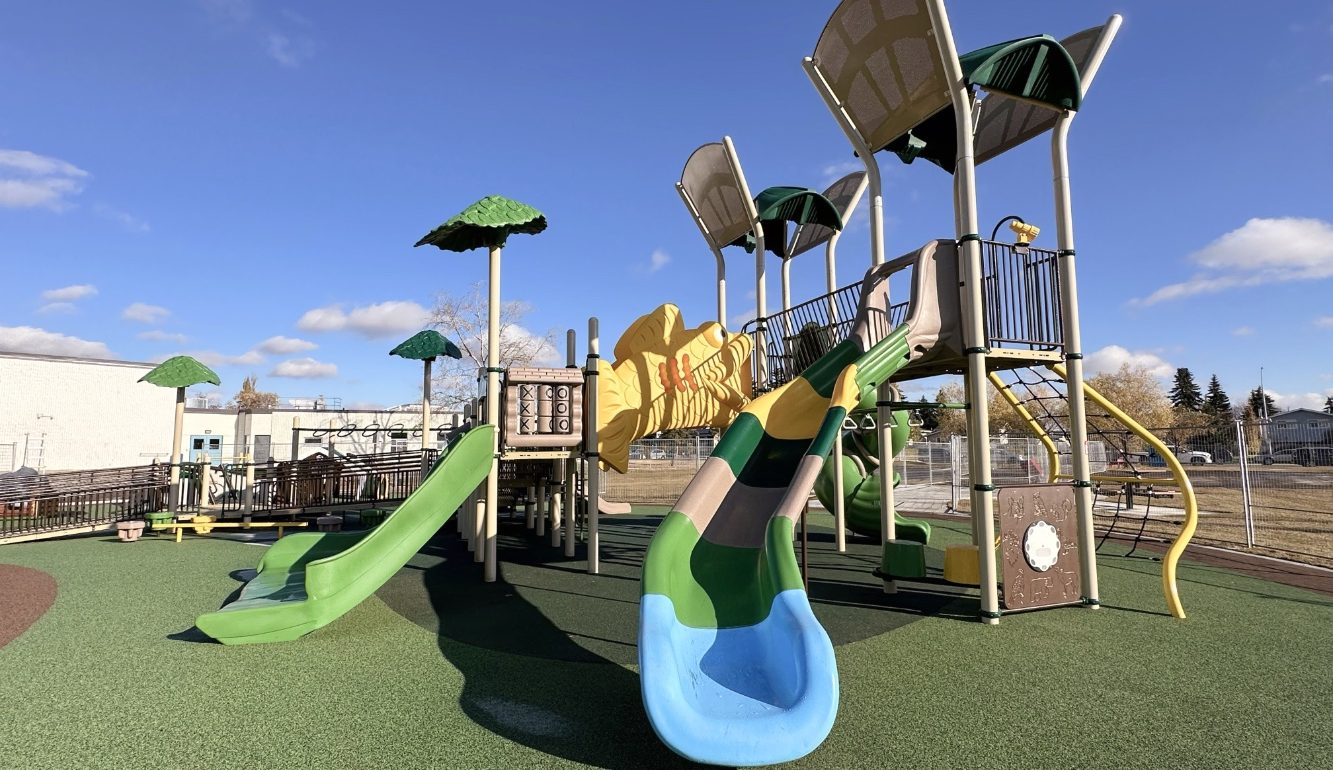 Playground at Willow Park School under a clear blue sky, featuring colorful slides and climbing structures with tree-like canopies, creating a fun, inviting atmosphere.