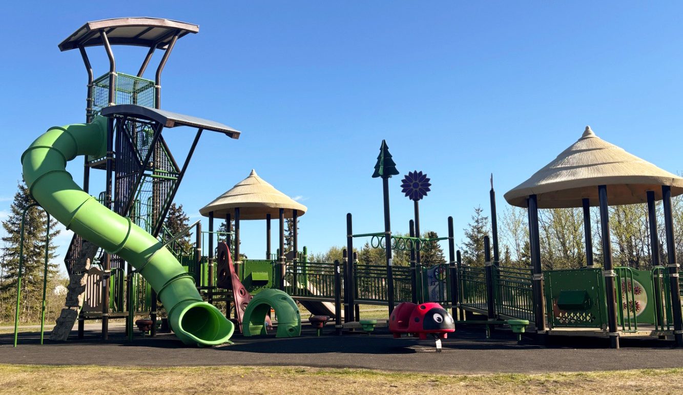 Green tube slide, crawl arch and ladybug rider beside two gazebo-roofed decks with tree and flower toppers.