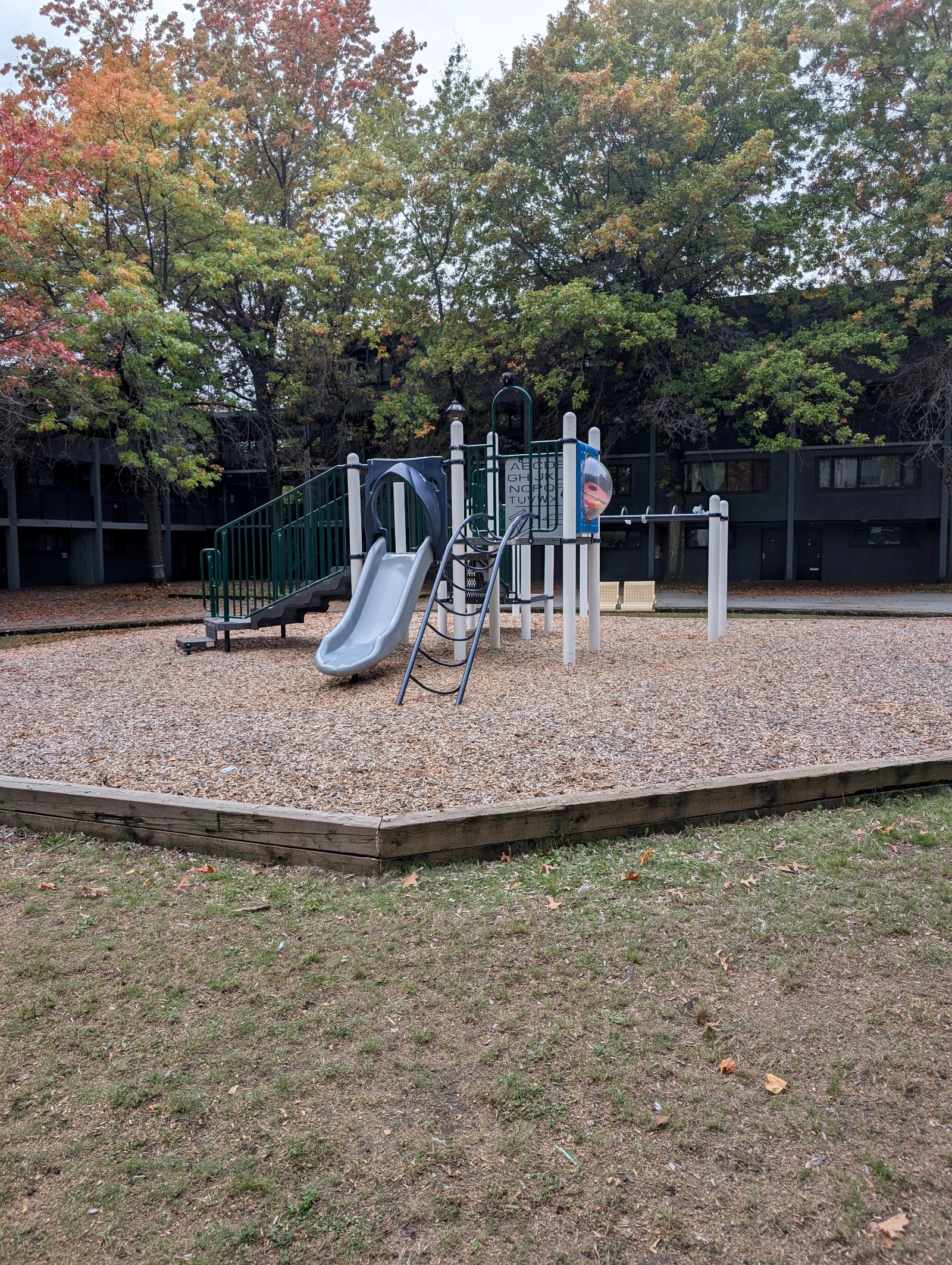 Wide view of the slide and climbing structure with grass in the foreground and autumn trees behind.