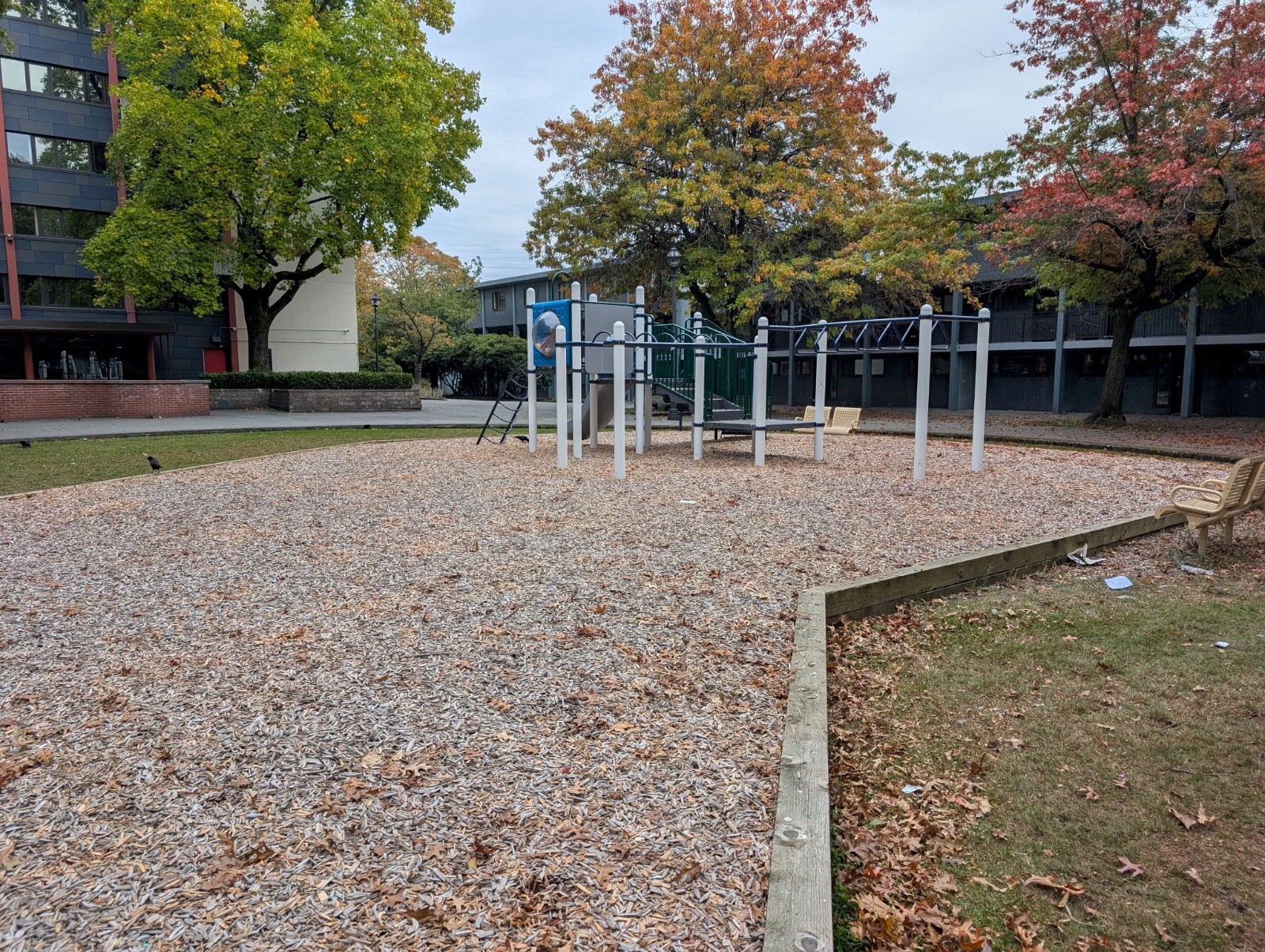 Distant view of the tower and monkey bars with benches nearby, autumn trees and a building behind.