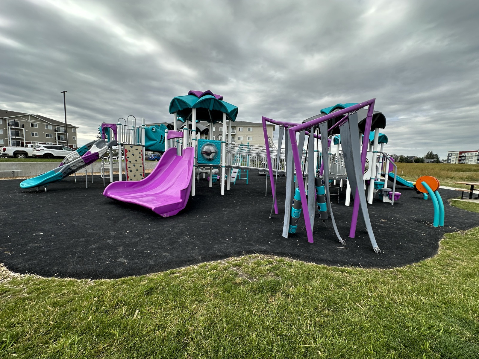 Purple and teal ocean-themed playground with a fish climber, full of commercial playground design ideas.