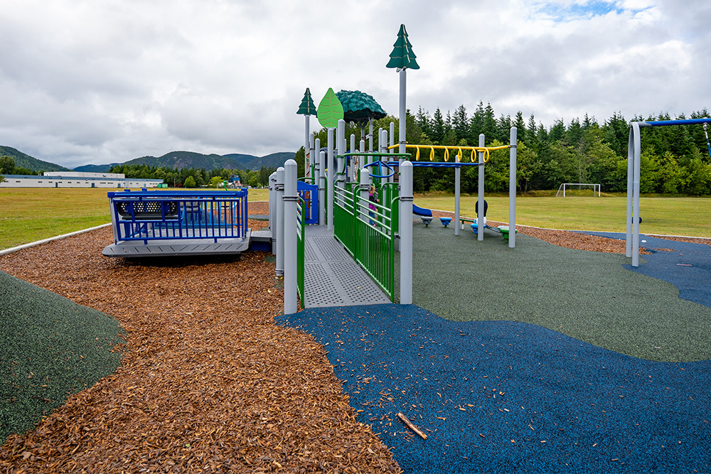 Two playground surfacing options, wood mulch and poured rubber, meet around a ramped tree-themed play structure.